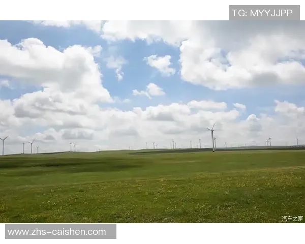 草原上的激情与梦想足球在广袤天地间的追逐与碰撞